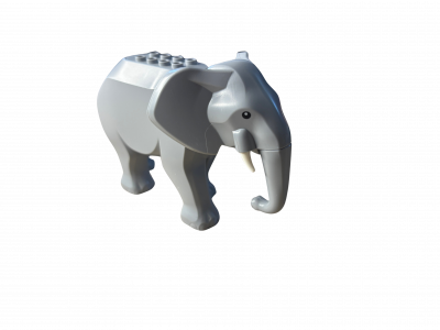 Elefantenweibchen "Pori"