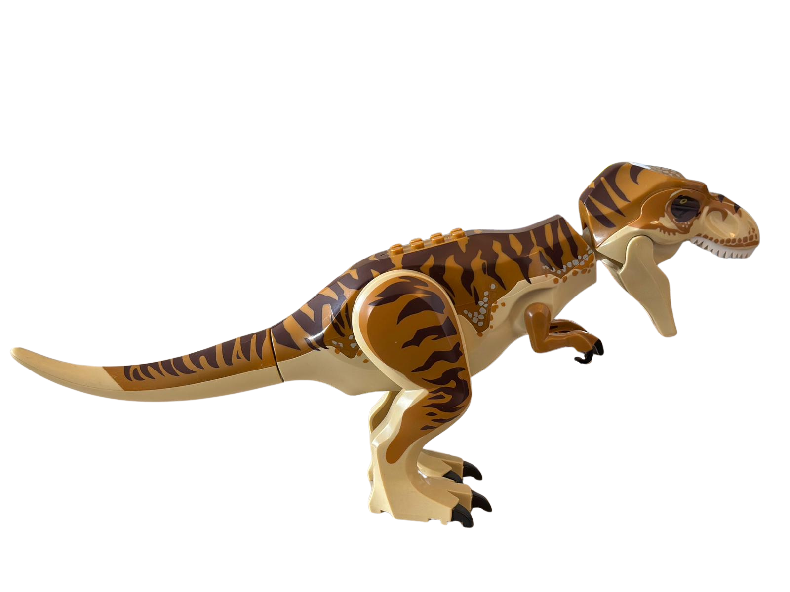 Dinosaurier – Bild 4